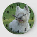 Search for westie clocks Pet