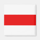 Search for protest magnets Flag