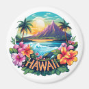 Search for hawaii souvenir magnets Beach