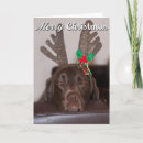 Search for silly christmas cards Humourous