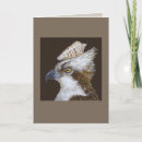 Search for osprey bird cards Ospreys