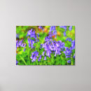 Search for bluebell canvas prints Woods
