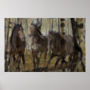 Search for spirit horse posters Wild