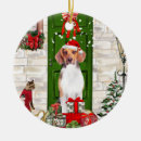 Search for beagle christmas tree decorations Pet