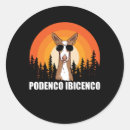Search for hounds stickers Podenco ibicenco