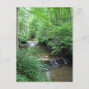 Search for creek postcards Park