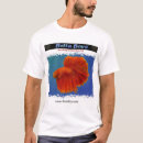 Search for red beta fish Aquarium
