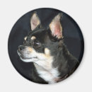 Search for purebreed Animal