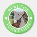 Search for kawaii magnets Trendy