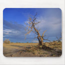 Search for bare tree electronics Colour image