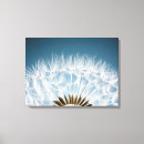 Search for seeds canvas prints Flower