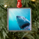 Search for jaws christmas tree decorations Wildlife