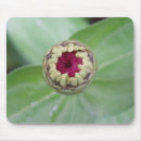 Search for budding mousepads Garden