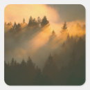 Search for county stickers America