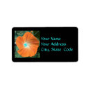Search for morning glory return address labels Floral
