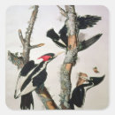 Search for crt stickers John