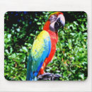 Search for macaws mousepads Birds