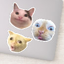 Search for catlover stickers Catdad