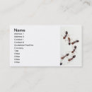 Search for ant business cards Insect