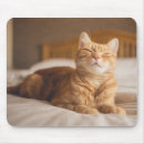 Search for sleeping cat mousepads Pets