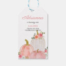 Search for pink pumpkin birthday Pastel