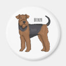 Search for airedale magnets Bingley terrier