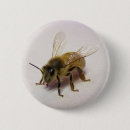 Search for honey bee badges Nature