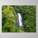 Search for west indies art Travel