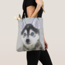 Search for sled bags Puppy