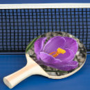 Search for crocus Nature photography