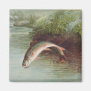 Search for leaping magnets Trout