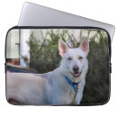 Search for german shepherd cases White