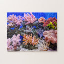 Search for aquarium puzzles Marine