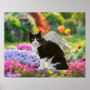 Search for tux cat posters Cats