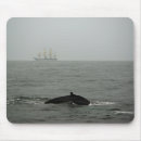 Search for tall mousepads Photograph