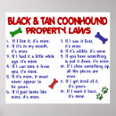 Search for coonhound posters Dog