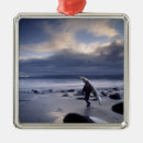 Search for olympic national park christmas tree decorations Sea