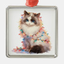 Search for snowshoe christmas tree decorations Cute