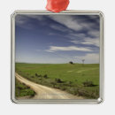 Search for agriculture christmas tree decorations Rural scene