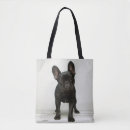 Search for studio one Black colour