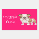 Search for english bulldog puppy stickers Puppies