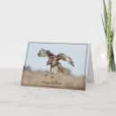 Search for hawk birthday cards Birds of prey