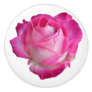 Search for pink drawer knobs and pulls Rose