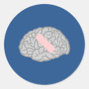 Search for brain labels Doctor