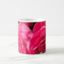 Search for camellia mugs Pink