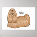 Search for haired posters Dog
