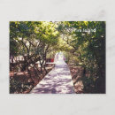 Search for boardwalks postcards Landscape