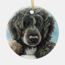 Search for portuguese water dog christmas Puppy