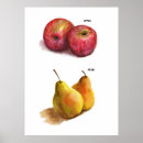 Search for herb illustration posters Botanical