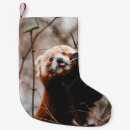 Search for koala bears christmas stockings Cute